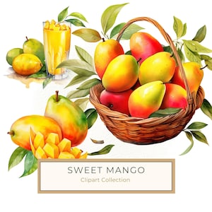 Mango Frucht Clipart, Mangoes Obstkorb, Mangosaft Clipart, Aquarell Kunst Druckbare kommerzielle Nutzung, 10 hohe Qualität 300 Dpi JPG PNG