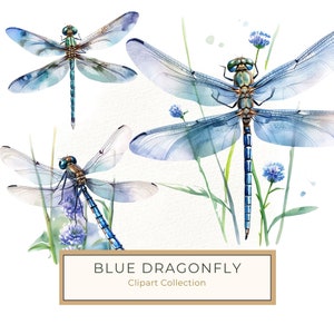 Watercolor Blue Dragonfly Clipart for digital crafting (10 PNGs, Digital Download, Commercial Use)