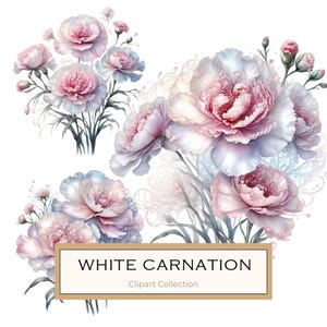 Iriserende anjer pastel aquarel clipart png set, zachte tint bloemen jpgs 10 bestanden perfect voor scrapbook & kaarten maken, commercieel gebruik