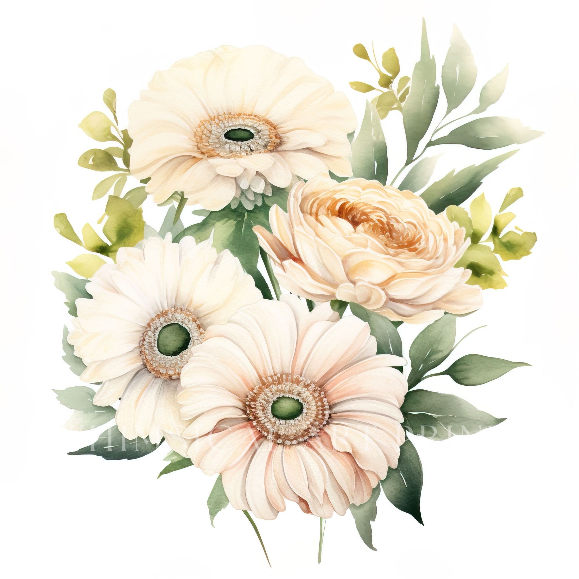 White Gerbera Daisy Clipart, Bouquet Clipart, Watercolor Flower