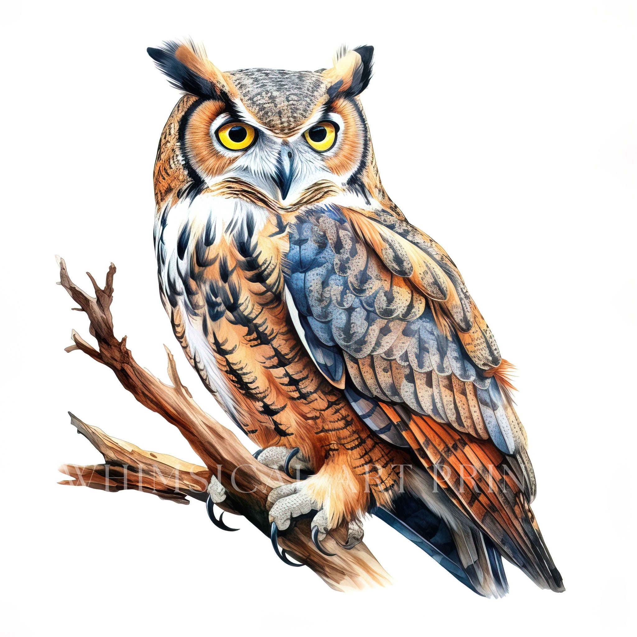 Greathorned Owl Clipart, Bird Clipart, Watercolor Greathorned Owls