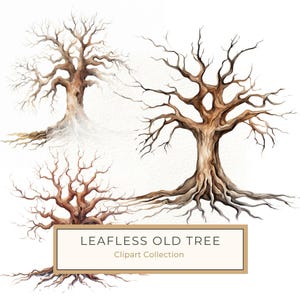 May include: Three watercolour illustrations of bare, brown trees with intricate branches and roots. The trees are set against a white background. The text "LEAFLESS OLD TREE Clipart Collection" is displayed below the trees.