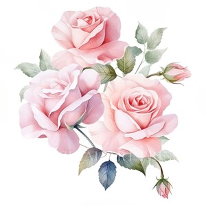 Pink Rose Clipart, Bouquet Clipart, Watercolor Flowers, Pink Roses ...