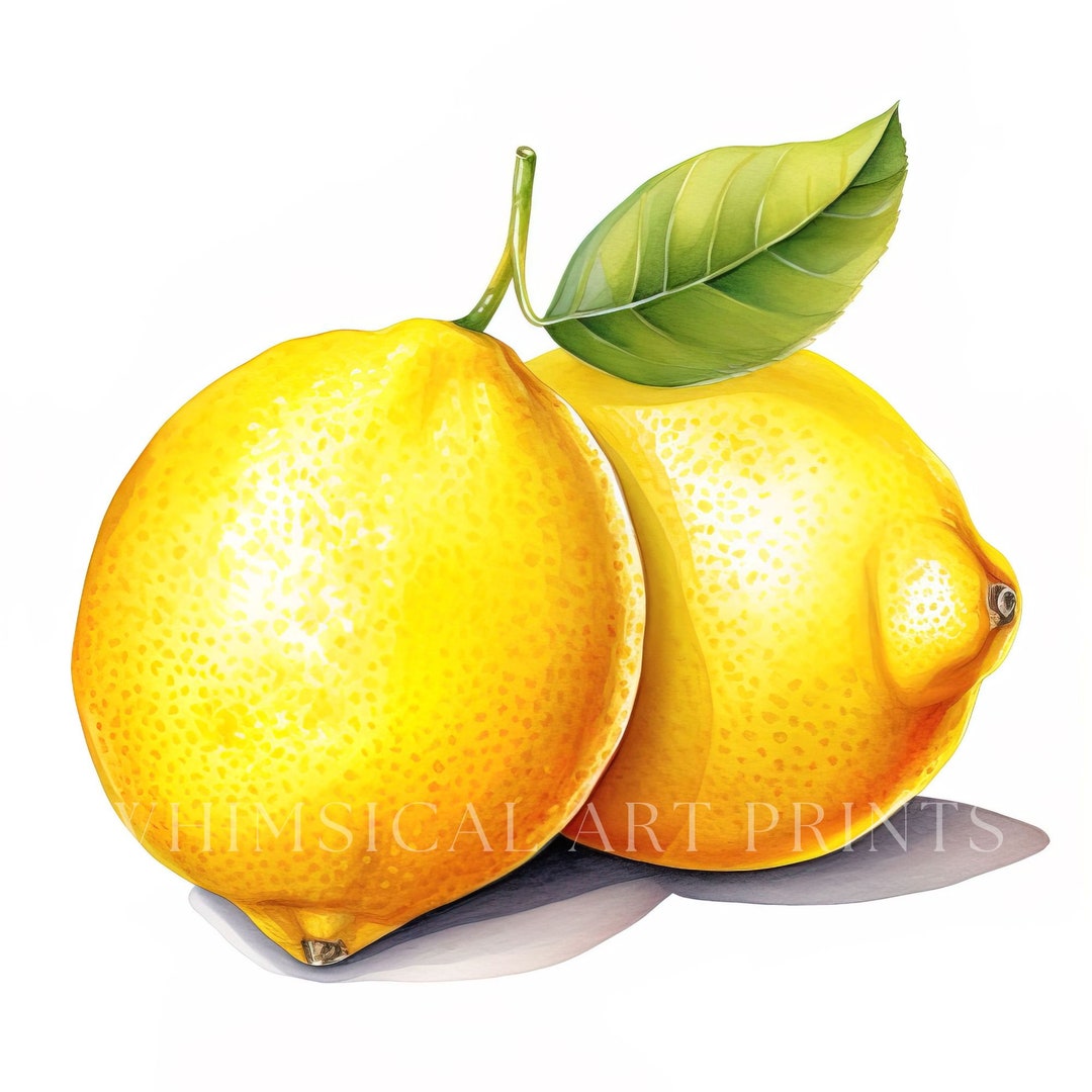 Lemon Fruit Clipart Lemon Juice Watercolor Lemon Basket - Etsy