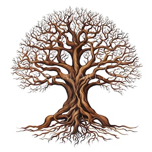 10 Yggdradsils Tree of Life PNG Clipart: Kala träd, djupa rötter (kommersiellt bruk)