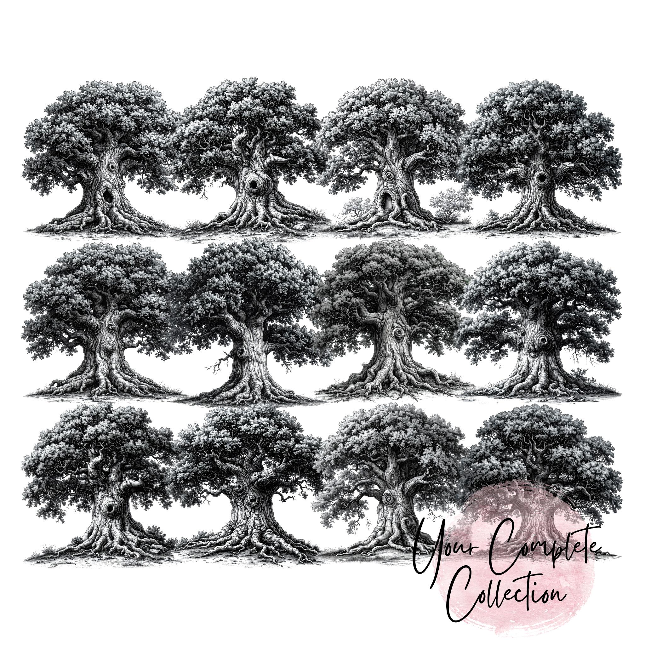12 Oak Tree of Life Clipart PNG – Sketch Line Art (digital Download) - Etsy