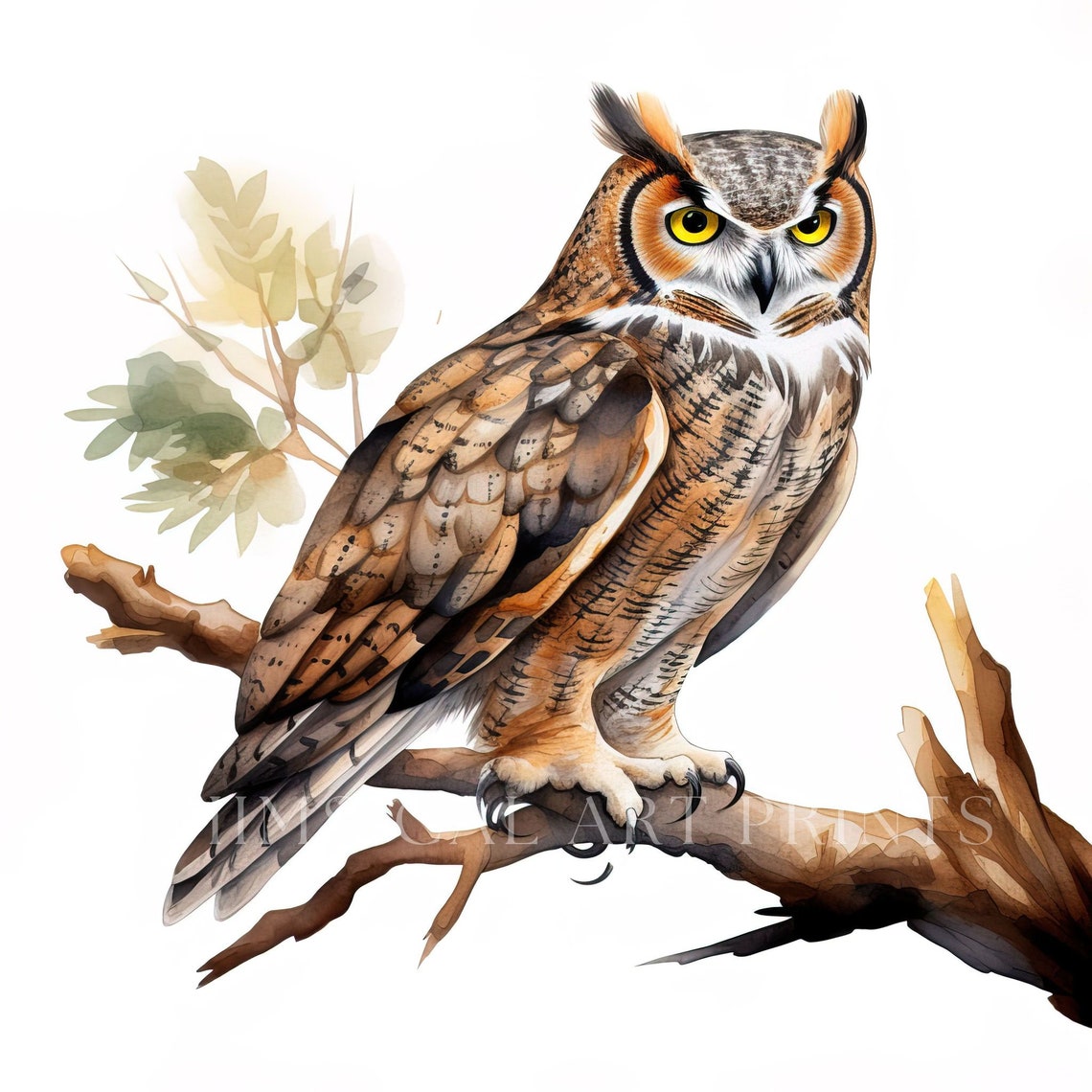 Greathorned Owl Clipart, Bird Clipart, Watercolor Greathorned Owls