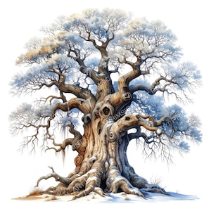 May include: A digital illustration of a large, ancient tree covered in snow. The tree has a thick, textured trunk and numerous branches, some of which are covered in white snow. The artwork is set against a white background, creating a wintery scene.