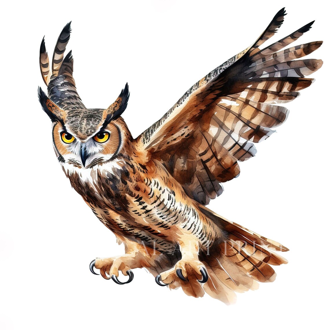Greathorned Owl Clipart, Bird Clipart, Watercolor Greathorned Owls
