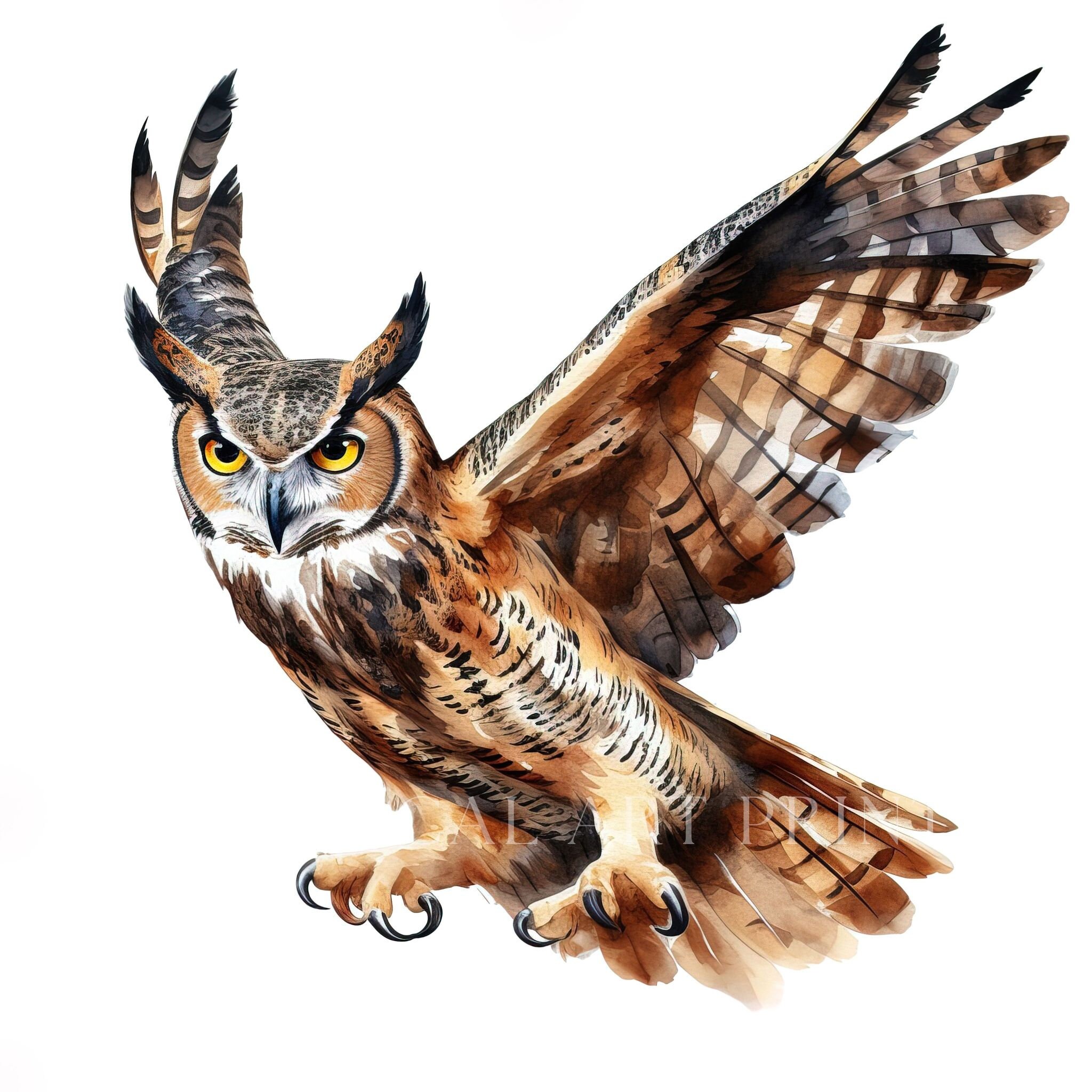 Greathorned Owl Clipart, Bird Clipart, Watercolor Greathorned Owls