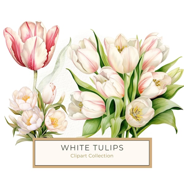 White Tulip Clipart, Tulip Bouquet Watercolor Flowers PNG, Realistic Flower Art Printable, Commercial Use, 10 High Quality 300 Dpi JPG PNG