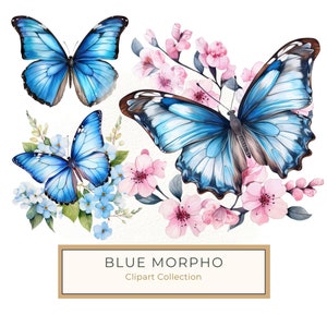 10 eleganti farfalle blu con delicata clip art floreale ad acquerello perfette per scrapbooking e fai da te, uso commerciale, JPG PNG