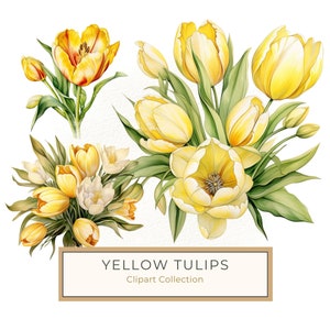 10 Gelbe Tulpen Bouquet Aquarell Clipart für Hochzeitskartendesign, Frühlingsblumenillustrationen für DIY Basteln, kommerzielle Nutzung, JPG PNG