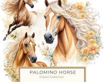 Palomino Horse Watercolor Clipart: Boho Equestrian Art (JPG, PNG)