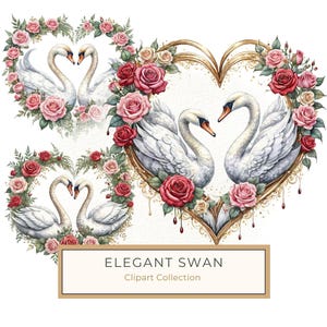 10 cisnes de acuarela con rosas rosadas, clipart floral para manualidades, saludos de San Valentín, invitaciones de boda y más, uso comercial