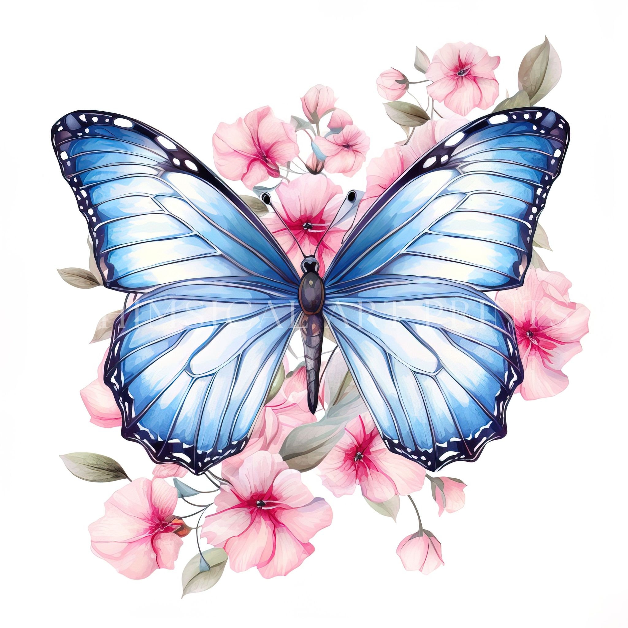Blue Morpho Butterfly Clipart, Blue Butterfly PNG, Watercolor ...