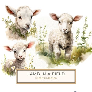 Adorable Watercolor Lamb with Delicate Wildflowers Digital Clipart for DIY Crafts, Scrapbooking and Sublimation with Commercial Use JPG, PNG