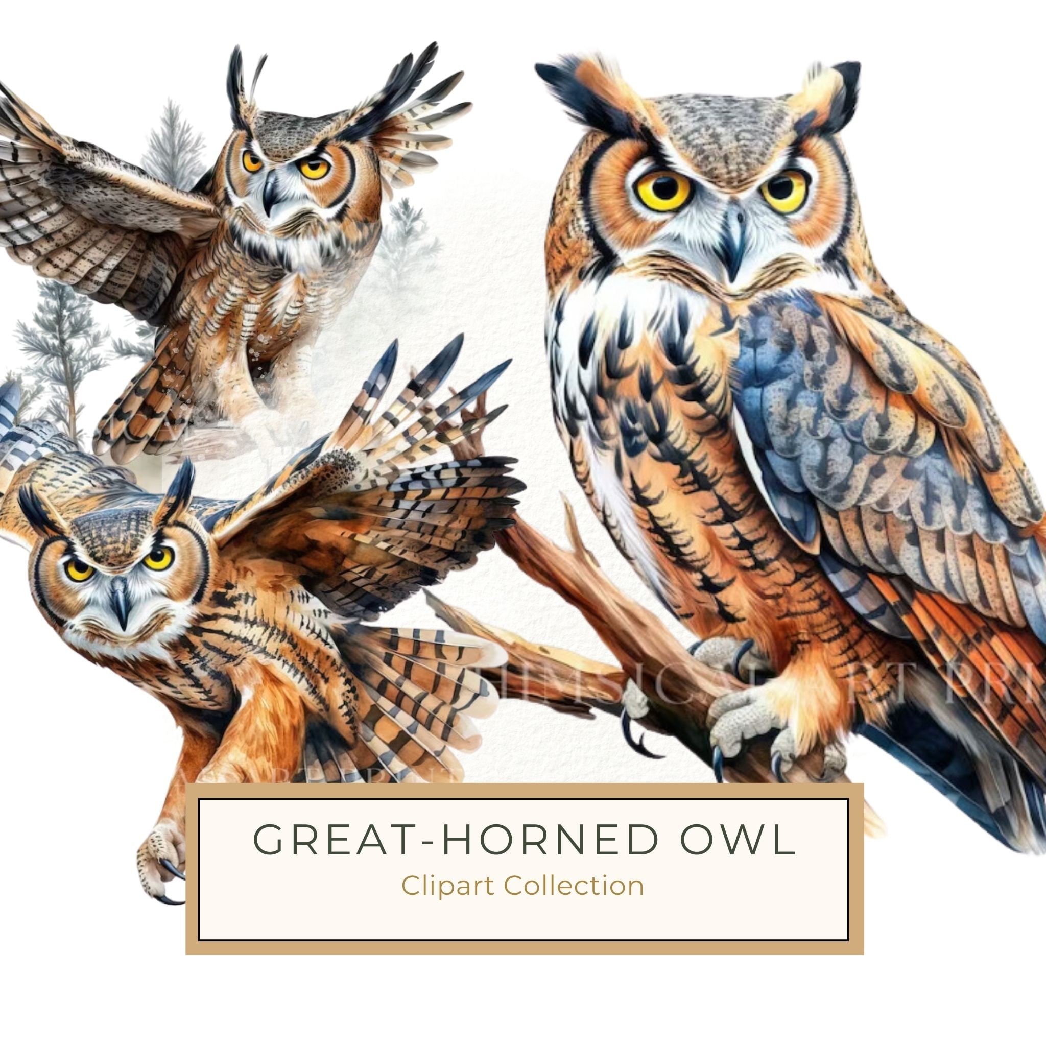 Great-horned Owl Clipart, Bird Clipart, Watercolor Great-horned Owls, Owl Art Printable, Commercial 