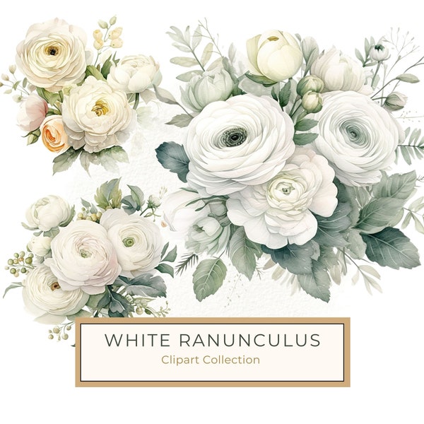 White Ranunculus Clipart, Watercolor White Ranunculus PNG, Floral Wedding Art Printable, Commercial Use, 10 High Quality 300 dpi JPG PNG