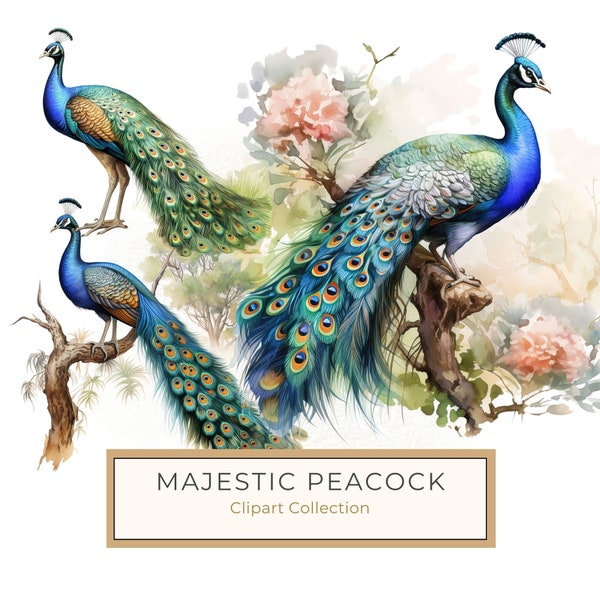 Majestic Peacock Clipart, Watercolor Peacock PNG, Peafowl Illustration, Wall Art Printable, Commercial Use, 10 High Quality 300dpi JPG PNG