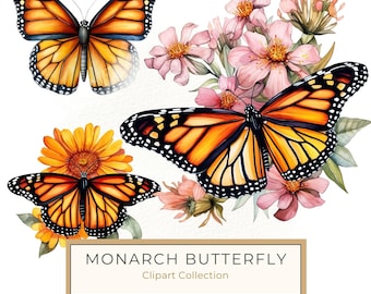 Watercolor Monarch Butterfly Clipart: Pink Flowers, Scrapbooking (JPG, PNG)