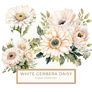 Weißer Gerbera Gänseblümchen Blumenstrauß Clipart, Aquarell Gänseblümchen Blume PNG, Gänseblümchen Kunst zum Ausdrucken, kommerzielle Nutzung 10 Hohe Qualität 300 Dpi JPG PNG