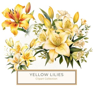 Watercolor Yellow Lily Clipart Set: 10 PNG Graphics, Commercial Use (6x6 inches) (Digital Download