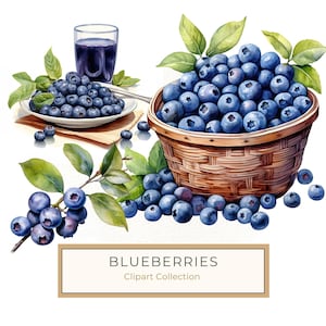 Aquarell Heidelbeeren Clipart: Korb & Beeren Art (PNG JPG, 300 DPI)