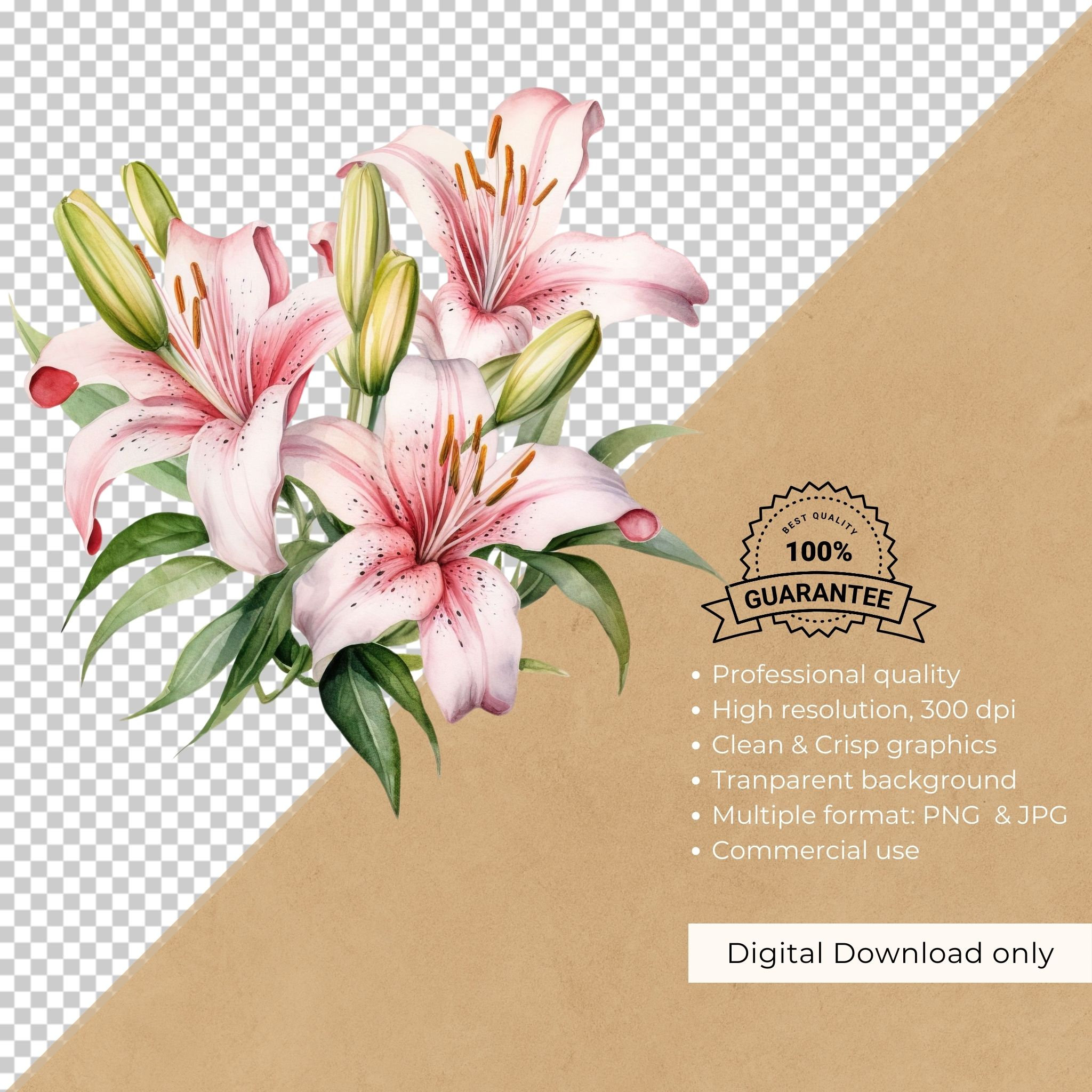ピンクのユリの花束のクリップアート：水彩画の花（PNG、JPG、300 DPI
