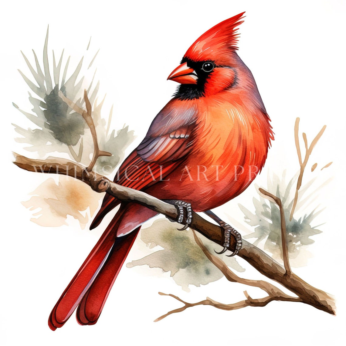 Cardinal Clipart Bird Clipart Watercolor Cardinals Cardinal - Etsy UK