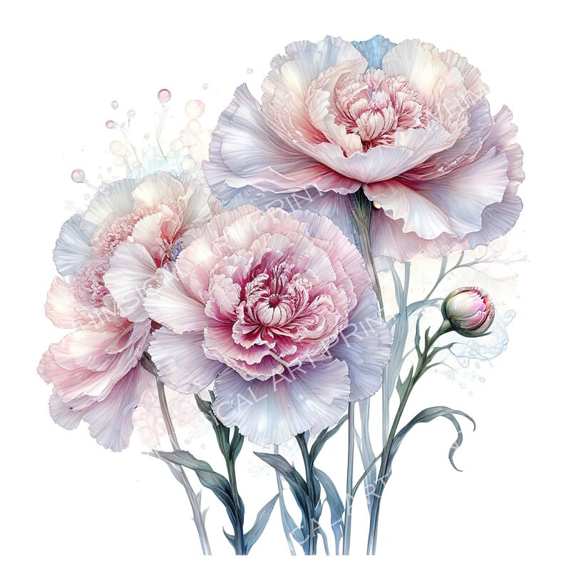 Watercolor Carnation Clipart: Iridescent Pastel Floral PNG JPG Set ...