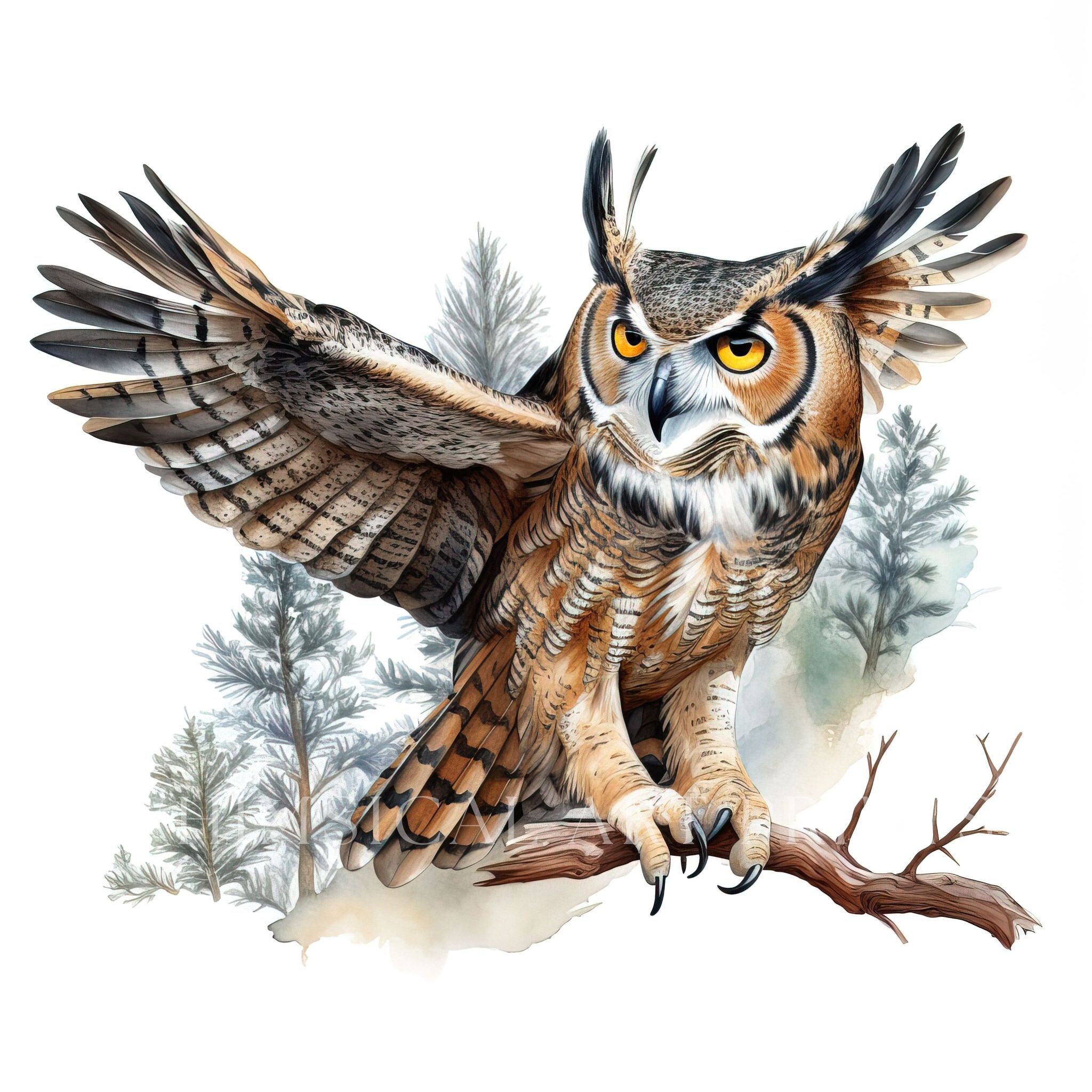 Greathorned Owl Clipart, Bird Clipart, Watercolor Greathorned Owls