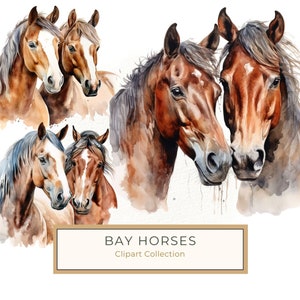 Impression d'art aquarelle de 10 superbes chevaux bai, étalon brun et clipart jument pour cadeaux équestres, PNG équin imprimable avec usage Commercial