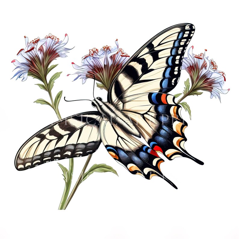 Swallowtail Butterfly Clipart, Butterfly Graphics, Watercolor Butterflies, Art Printable ...