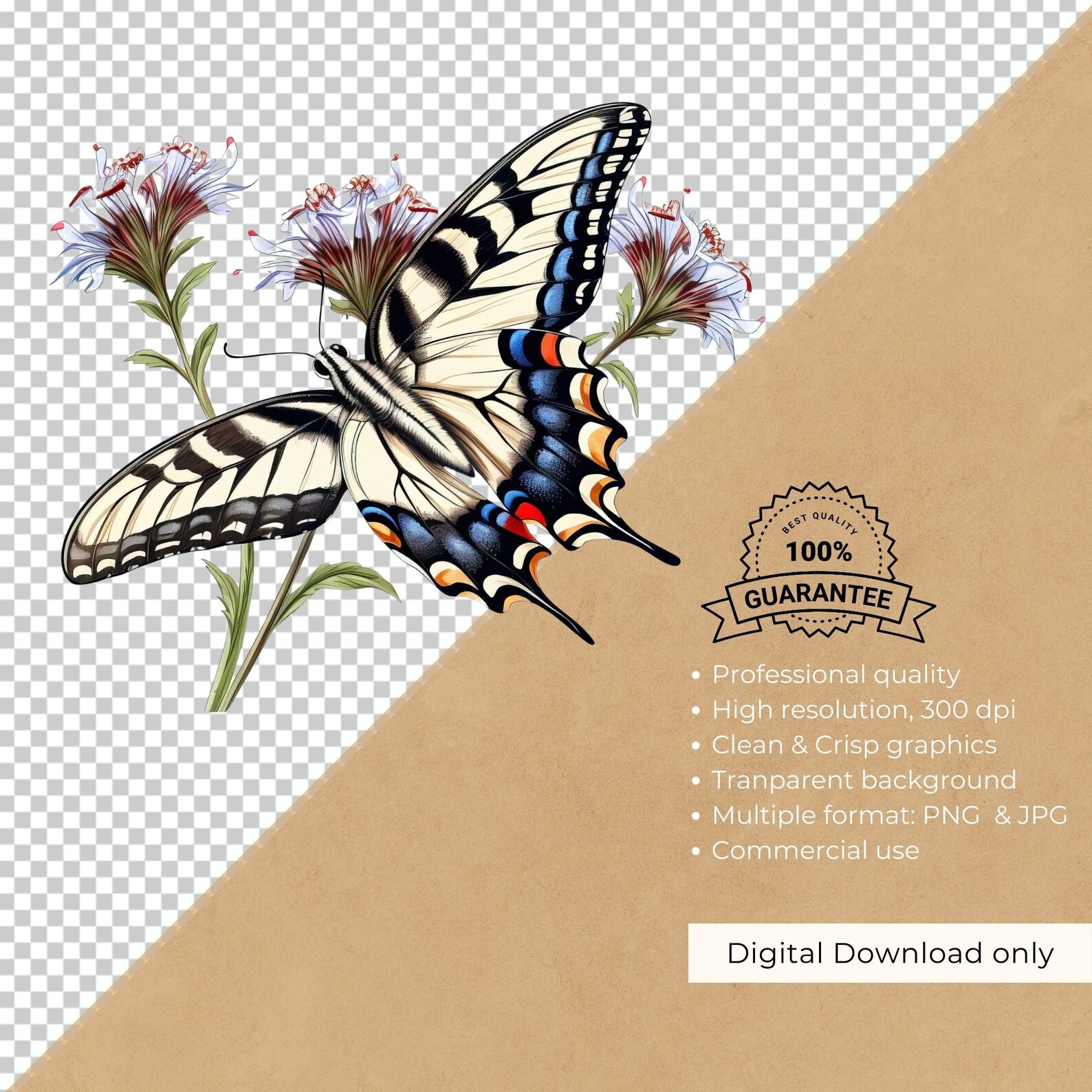 Swallowtail Butterfly Clipart, Butterfly PNG Graphics, Watercolor ...