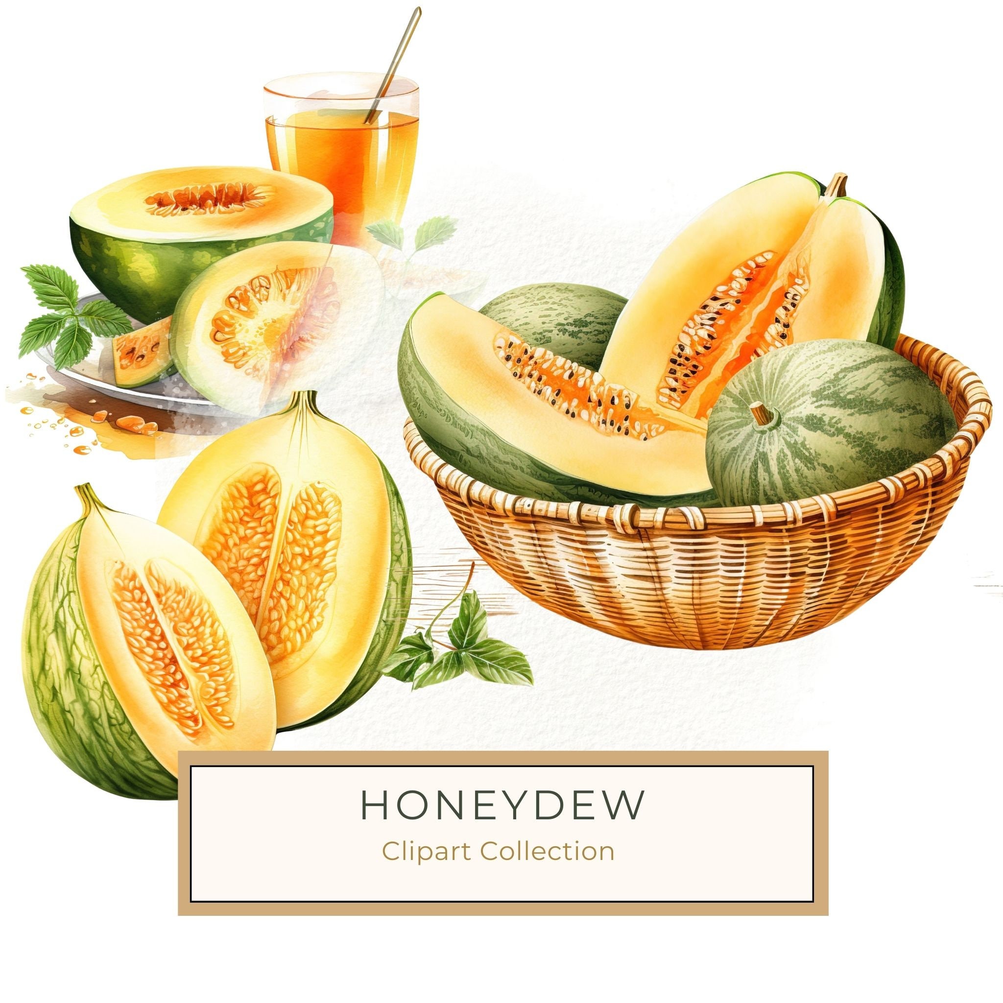 Cantaloupe Clipart - Etsy, image size:2048x2048