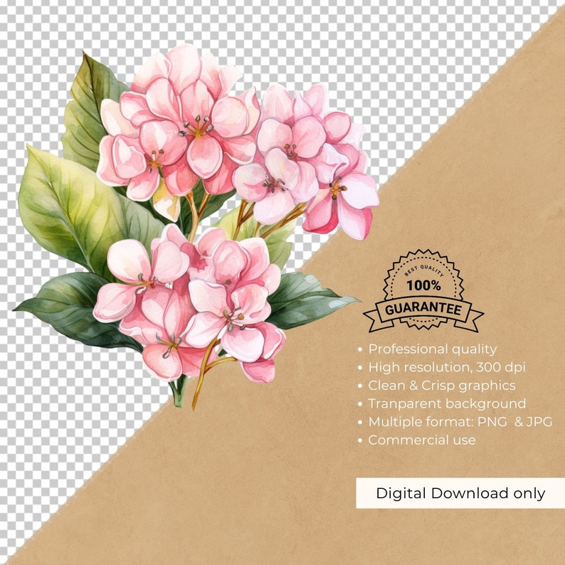Watercolor Pink Hydrangea Clipart: Floral Bouquet Art (digital Download ...