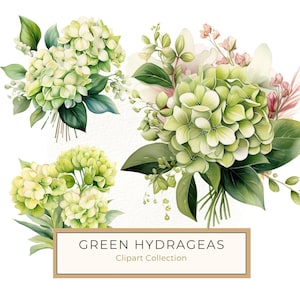 10 Clipart di ortensie verdi lussureggianti ad acquerello per scrapbooking, cancelleria fai da te e design per matrimoni, PNG per sublimazione del prodotto, uso commerciale