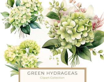 Green Hydrangeas Clipart, Hydrangea Flowers PNG Bouquet Clipart,  Watercolor Art, Commercial Use,  Art Printable High Quality 300 DPI JPG