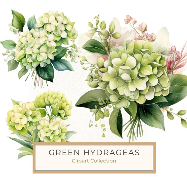 Green Hydrangeas Clipart, Hydrangea Flowers PNG Bouquet Clipart,  Watercolor Art, Commercial Use,  Art Printable High Quality 300 DPI JPG