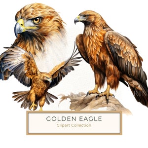 Watercolor Golden Eagle Clipart: Patriotic Bird Art (JPG, PNG Digital Download)