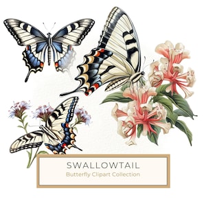10 Swallowtail Butterfly Watercolor Clipart with transparent background for scrapbooking, sublimation and crafts, Commercial Use JPG PNG