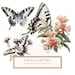 Swallowtail Butterfly Clipart, Butterfly PNG Graphics, Watercolor ...