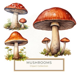 Aquarel bos paddestoel clipart met transparante achtergrond voor scrapbooking, kinderverhaal boekillustratie, commercieel gebruik JPG PNG