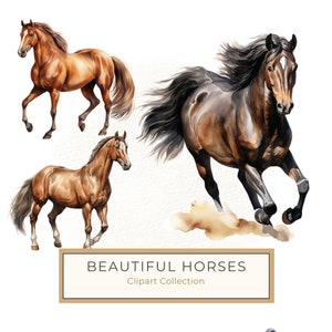 10 art mural cheval pur-sang aquarelle, portrait réaliste de cheval de course complet du corps PNG, cadeau idéal pour les amateurs de chevaux de course OTTB, usage Commercial
