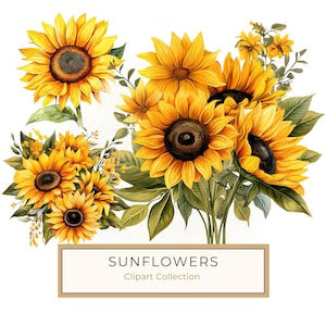 10 cliparts aquarelle tournesol vibrant pour projets de bricolage et créations manuelles, parfait pour le scrapbooking, sublimation de produit, usage commercial, JPG PNG