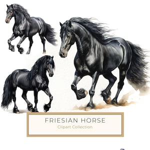 Watercolor Friesian Horse Clipart for Digital Crafting and Sublimation (Digital Download, Commercial Use)