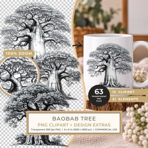 16 Baobab Tree of Life Clipart PNG - Sketch Style - Commercial Use