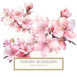 10 枚の水彩ピンクの桜の花、春の桜の壁アート スクラップブッキング、DIY クラフト、商業利用のための印刷可能なデザイン、10 枚の JPG PNG