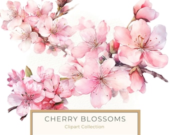 Pink Cherry Blossoms Clipart, Sakura Clipart, Watercolor Pink Sakura PNG, Wall Art Printable, Commercial Use, 10 High Quality 300dpi JPG PNG